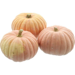 POTIRON MISS SOPHIE PINK KG